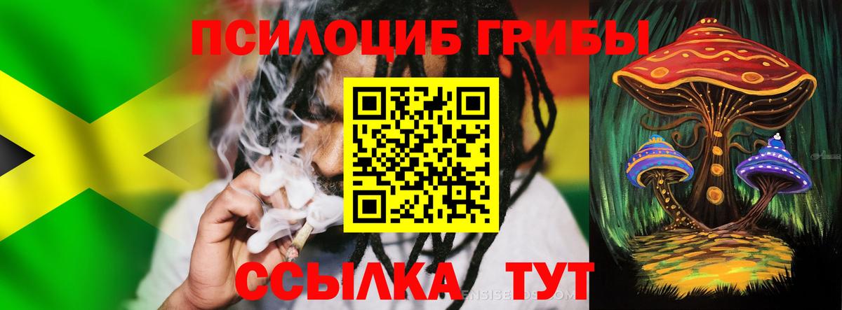 Галлюциногенные грибы Cubensis Оренбург
